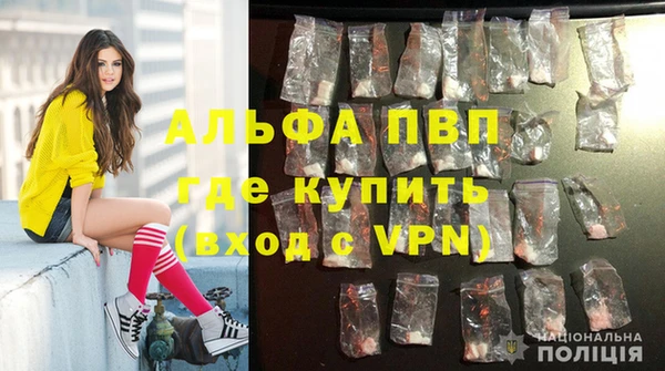 ECSTASY Покровск