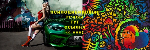 сатива Арсеньев