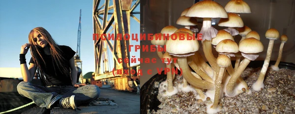 соль курить ск Протвино