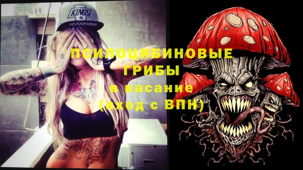 кокс Баксан