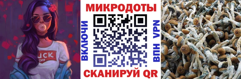 Галлюциногенные грибы мухоморы  купить наркотики сайты  Саяногорск 